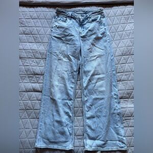 American Eagle Outfitters Light Blue Straight Leg Jeans